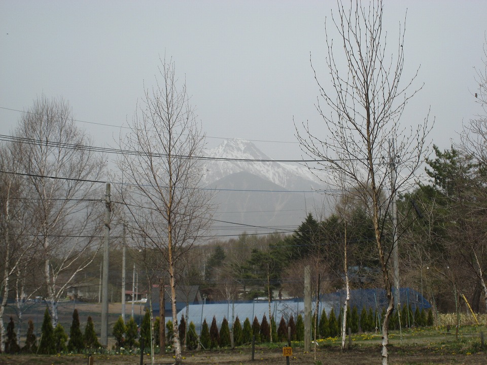 http://www.uminoie.mydns.jp/blog/img/2011/20110502-0005.jpg