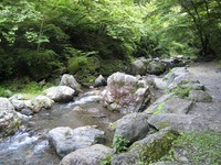 20100717-0008.jpg