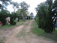 20100808-0020.jpg