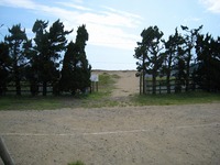 20100919-0010.jpg