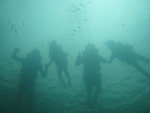 20110325-0050.jpg