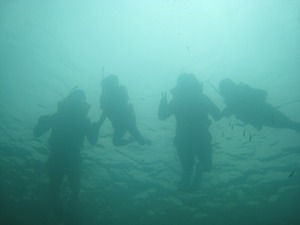 20110325-0051.jpg