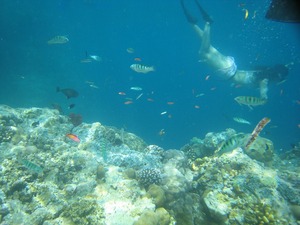 20110325-0075.jpg