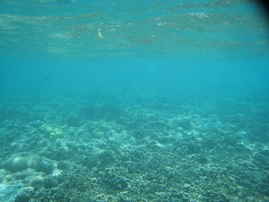 20110325-0080.jpg