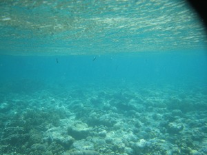 20110325-0081.jpg