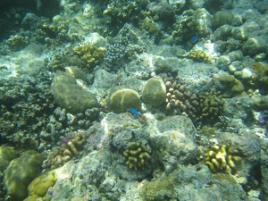 20110325-0085.jpg