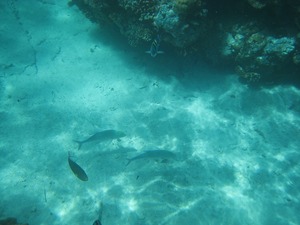 20110325-0091.jpg