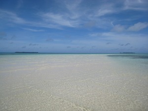 20110325-0104.jpg