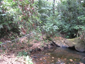 20110326-0033.jpg