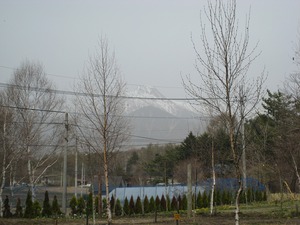 20110502-0005.jpg