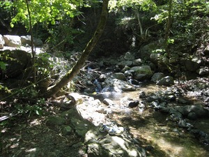 20110716-0008.jpg