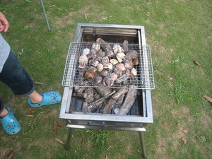 20110731-0019.jpg