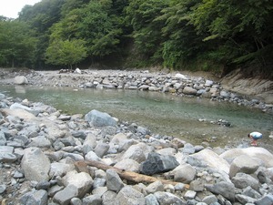 20110820-0010.jpg